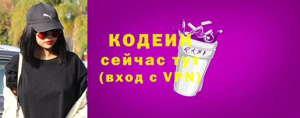 шишки Майский