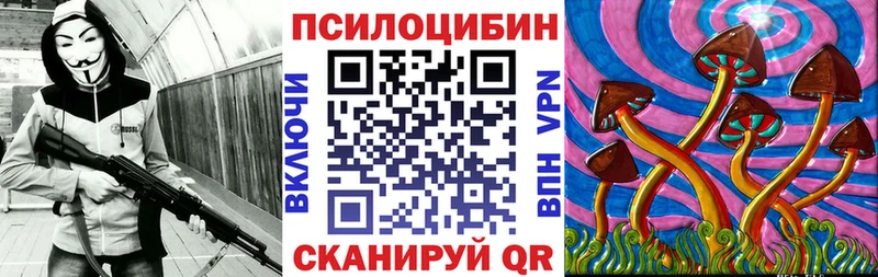 где найти   блэк спрут рабочий сайт  Галлюциногенные грибы Psilocybine cubensis  Чернушка 